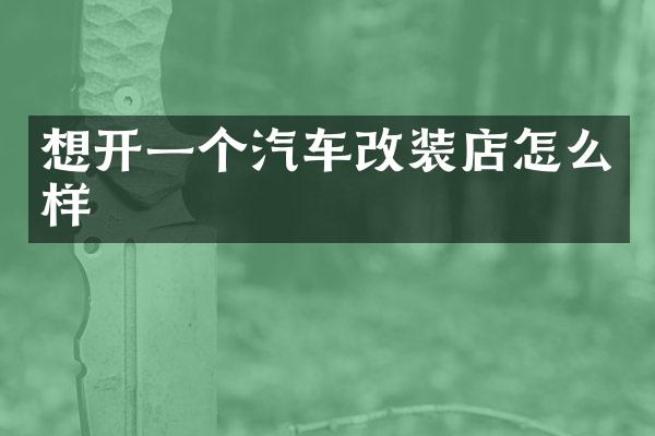想开一个汽车改装店怎么样