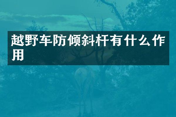 越野车防倾斜杆有什么作用