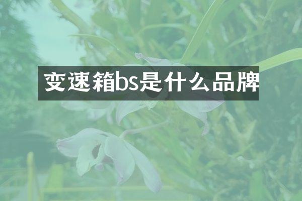 变速箱bs是什么品牌