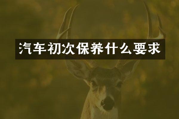 汽车初次保养什么要求