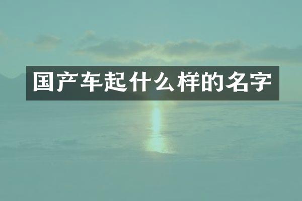 国产车起什么样的名字