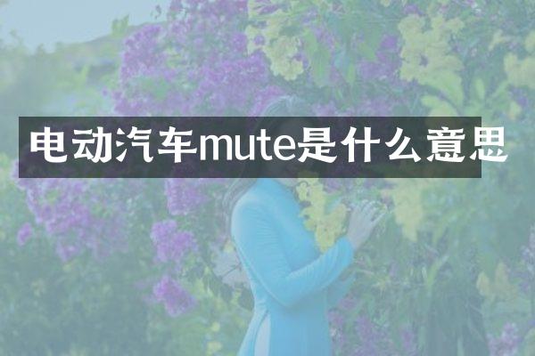 电动汽车mute是什么意思