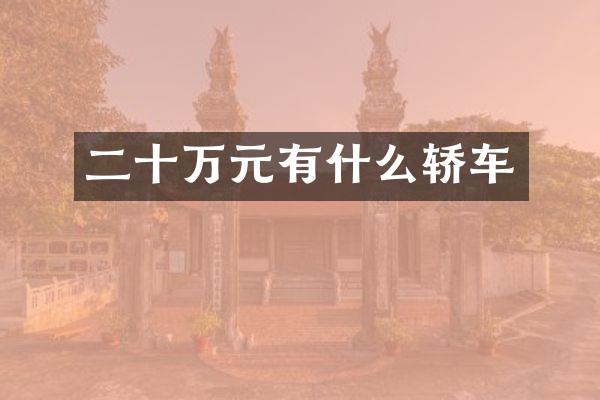 二十万元有什么轿车