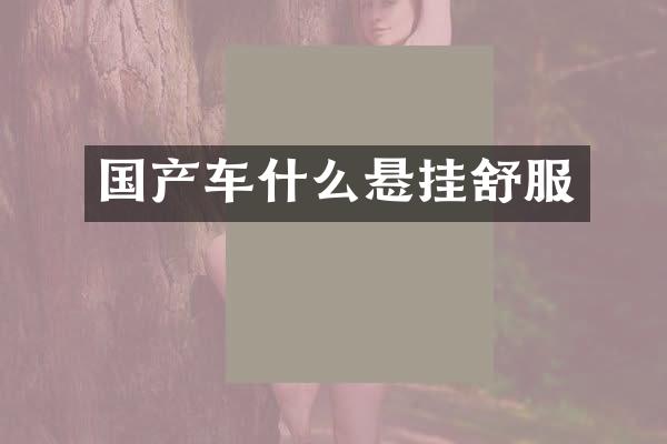 国产车什么悬挂舒服