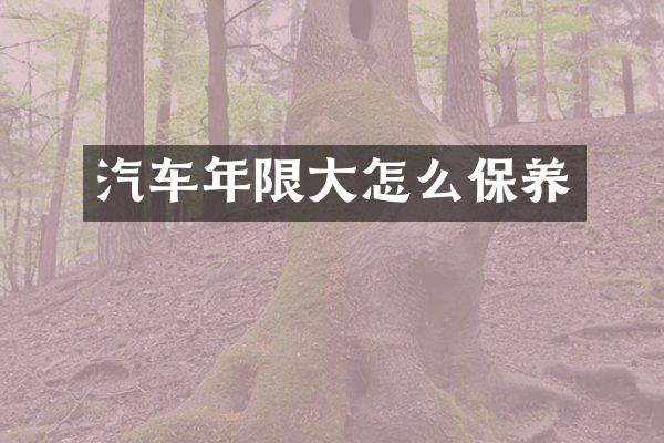 汽车年限大怎么保养