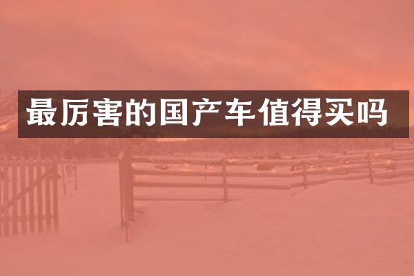 最厉害的国产车值得买吗