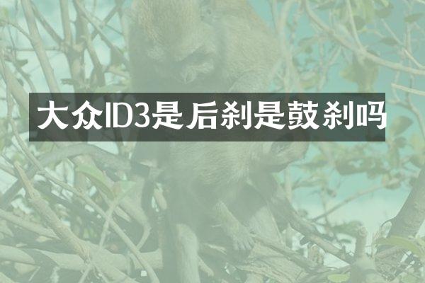 大众ID3是后刹是鼓刹吗