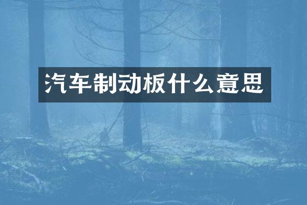 汽车制动板什么意思