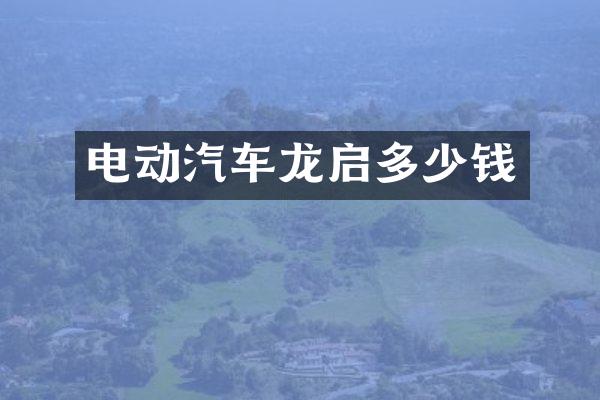 电动汽车龙启多少钱