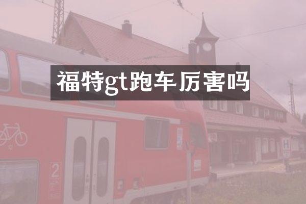 福特gt跑车厉害吗