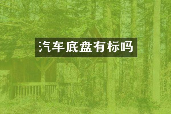 汽车底盘有标吗