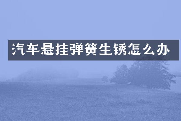 汽车悬挂弹簧生锈怎么办