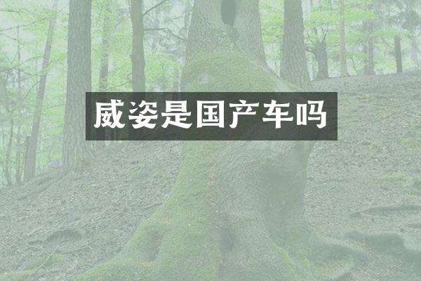 威姿是国产车吗