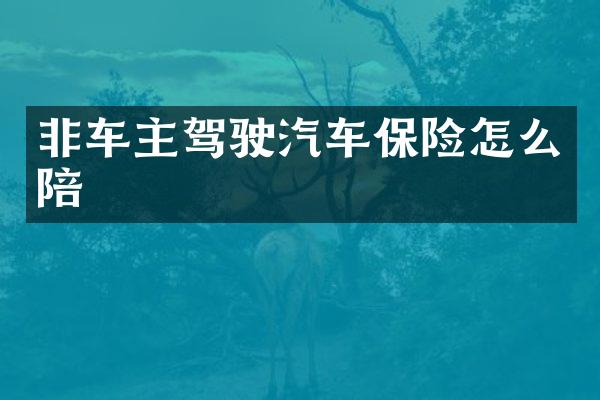 非车主驾驶汽车保险怎么陪