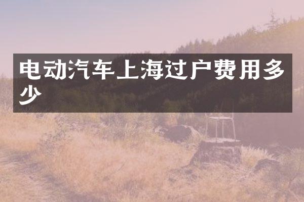 电动汽车上海过户费用多少