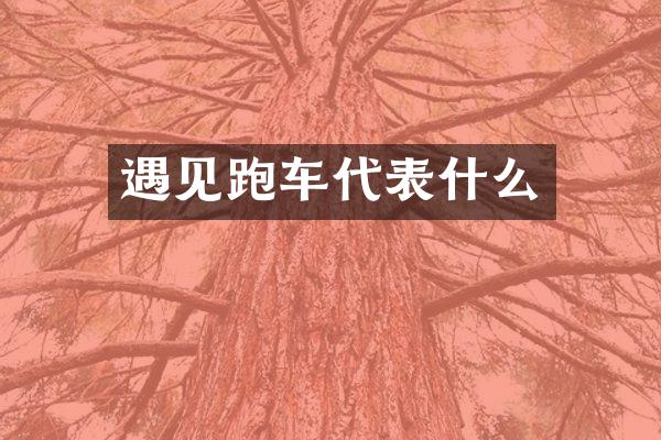 遇见跑车代表什么