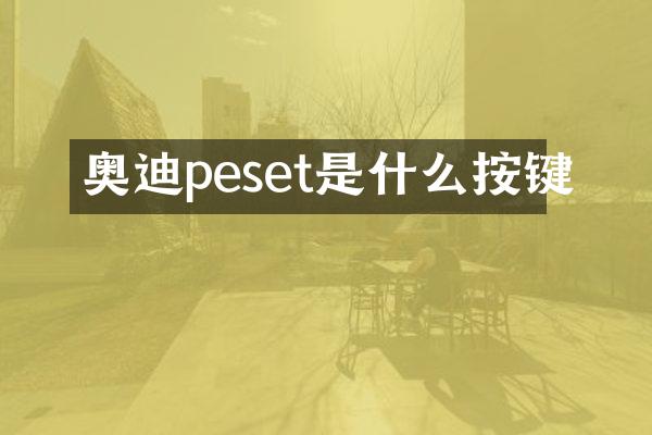 奥迪peset是什么按键