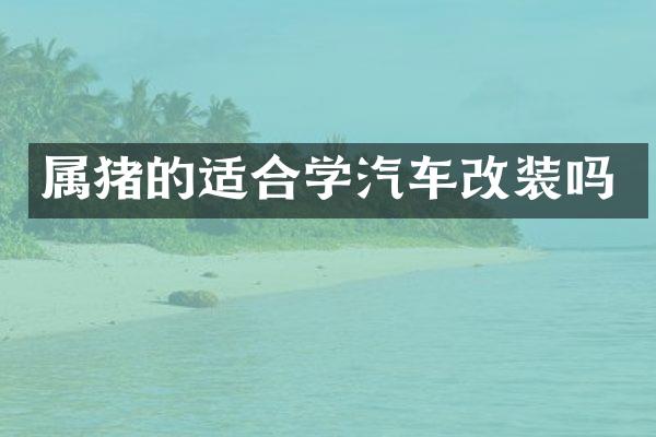 属猪的适合学汽车改装吗