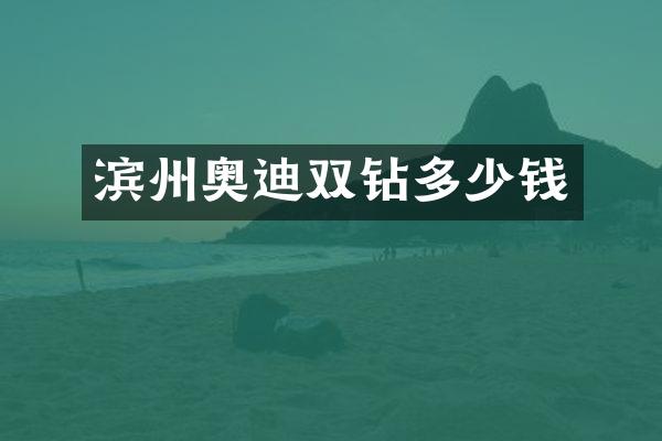 滨州奥迪双钻多少钱