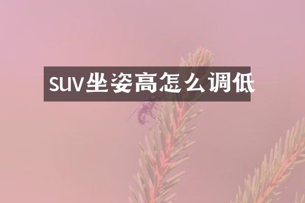 suv坐姿高怎么调低