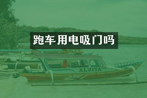 跑车用电吸门吗