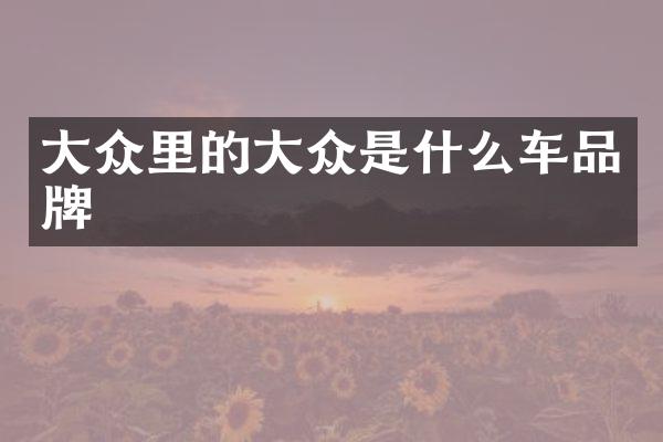 大众里的大众是什么车品牌