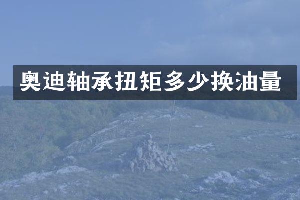 奥迪轴承扭矩多少换油量