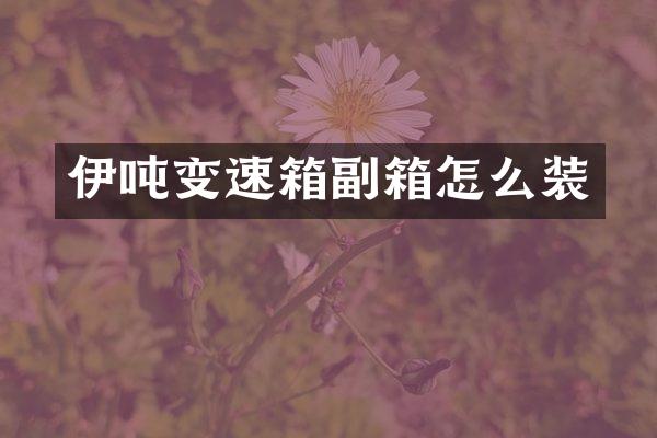 伊吨变速箱副箱怎么装