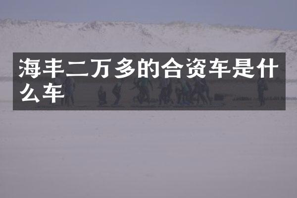 海丰二万多的合资车是什么车