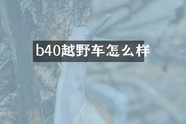 b40越野车怎么样