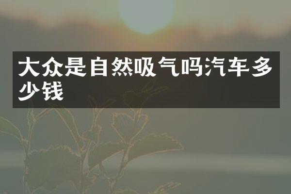 大众是自然吸气吗汽车多少钱
