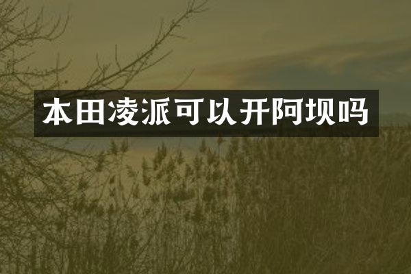 本田凌派可以开阿坝吗