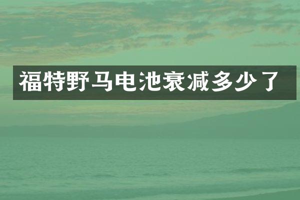 福特野马电池衰减多少了