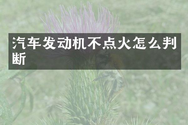 汽车发动机不点火怎么判断
