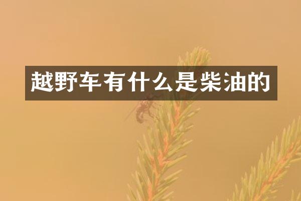 越野车有什么是柴油的