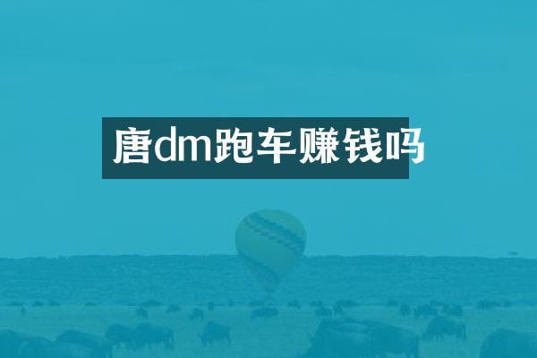 唐dm跑车赚钱吗