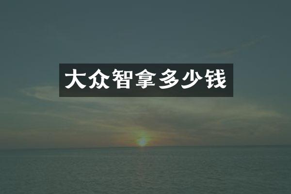 大众智拿多少钱