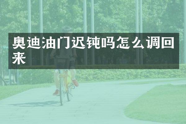 奥迪油门迟钝吗怎么调回来