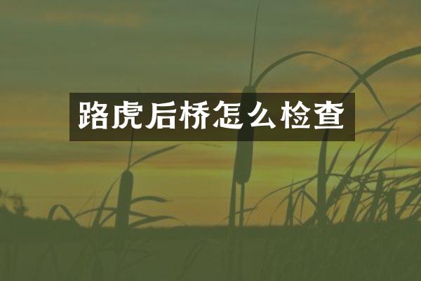路虎后桥怎么检查