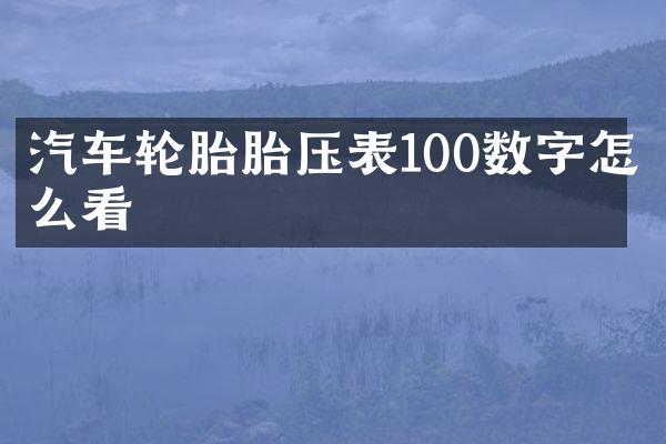 汽车轮胎胎压表100数字怎么看