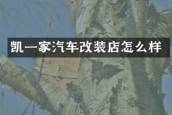 凯一家汽车改装店怎么样