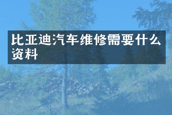 比亚迪汽车维修需要什么资料