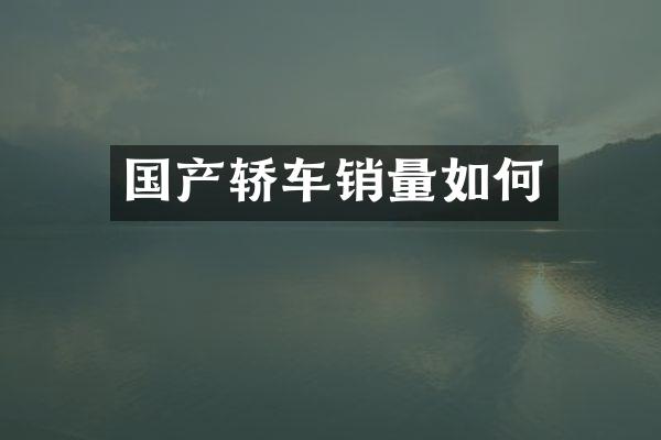 国产轿车销量如何