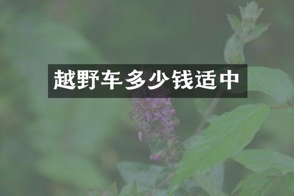 越野车多少钱适中