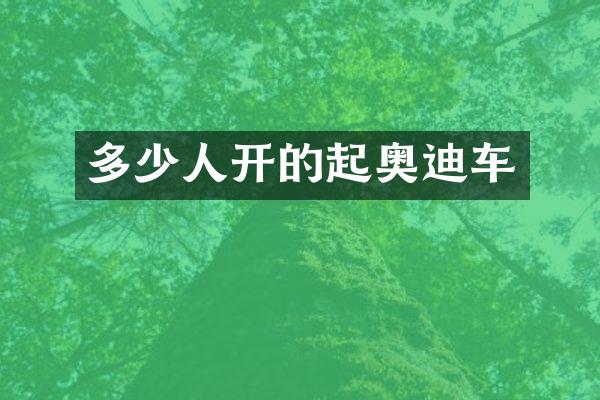 多少人开的起奥迪车