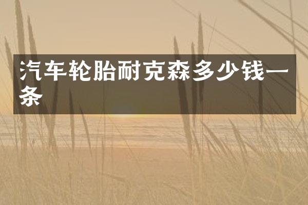 汽车轮胎耐克森多少钱一条