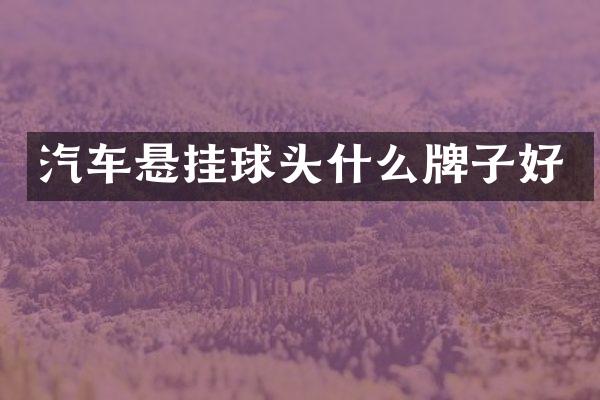 汽车悬挂球头什么牌子好