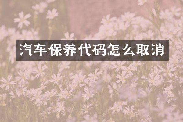 汽车保养代码怎么取消