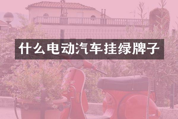 什么电动汽车挂绿牌子