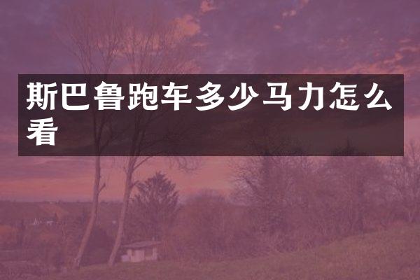 斯巴鲁跑车多少马力怎么看